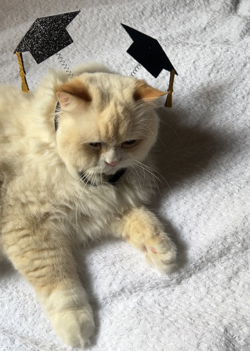 xli22_'s tweet photo. My baby boy💫🎓 https://t.co/x4iqKrzhkv