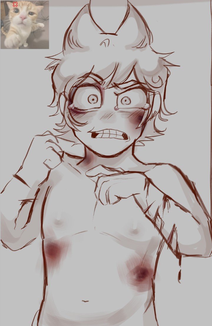 Servetchained's tweet photo. Tord modo gato esponjado #eddsworld #tomtord https://t.co/6ORgUsIgFI
