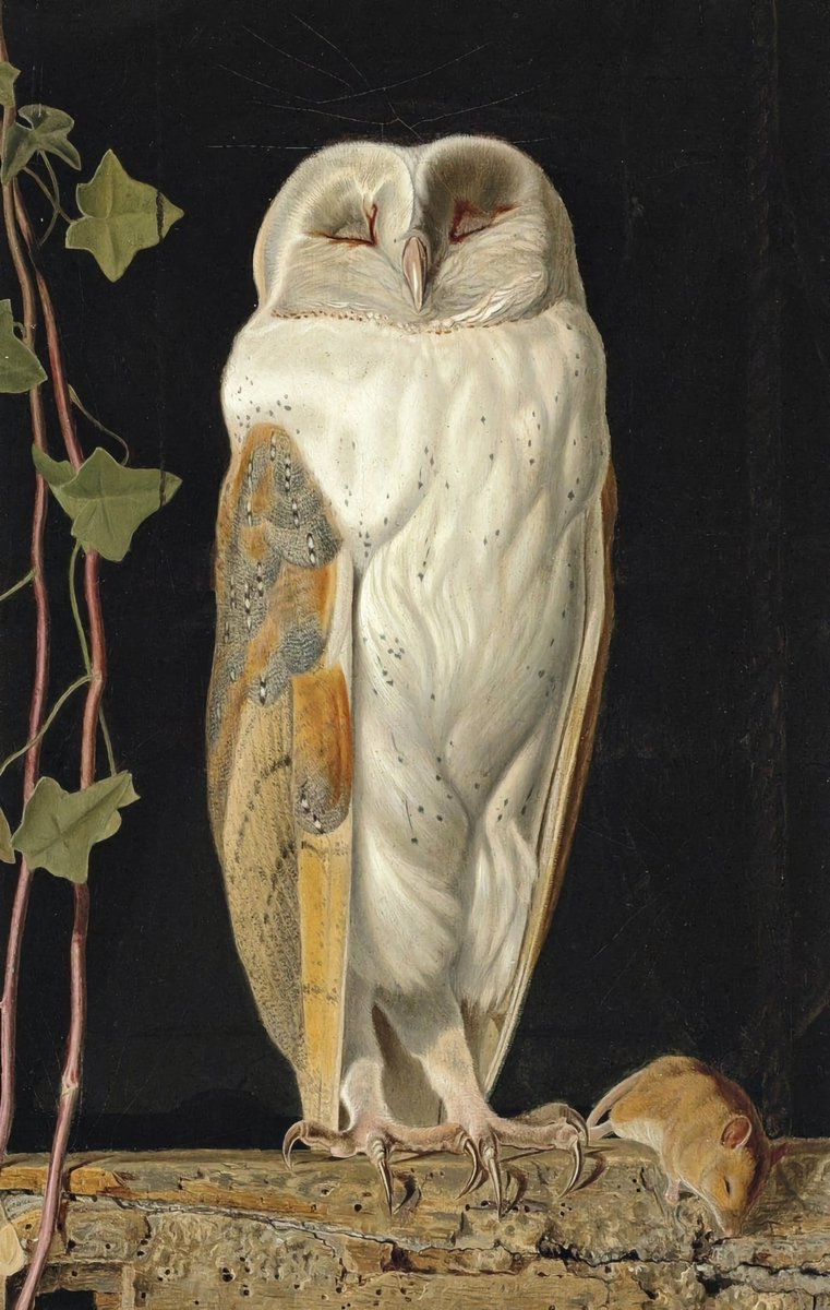 xmuse_'s tweet photo. 1856 vs 2025

> William James Webbe - The White Owl, 1856
> Annie Drew (anniedrewwildlifeart) - viral owl painting from last year.

Same subject. Same craft.

Some paintings never go out of style. https://t.co/nPpimIVEO2