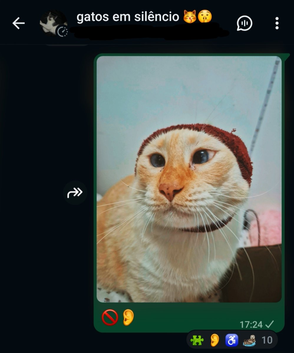 rymvkk's tweet photo. coloquei meu gato no "gatos em silêncio" e to tentando entender https://t.co/fuwzMD0ojC