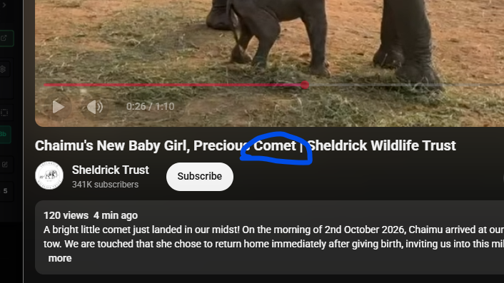 meggarwicky's tweet photo. SHELDRICK GOT A NEW BABY ELEPHANT AND NAMED IT COMET?

The mother was against the odds to live and she put out a baby and named it comet, literally like the moon?

https://t.co/LYwBXyR50Q https://t.co/hHdz1WYdUz