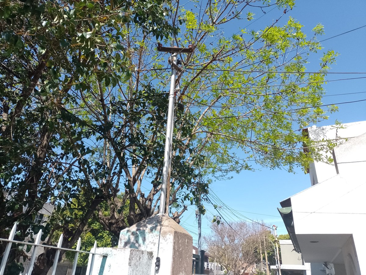 joaquinv62's tweet photo. En Lanús Este colgaron la fibra de Personal de mi vecino en mi pilar de Edesur dentro de mi casa, sin ser cliente no me dan número de reclamo.
@PersonalFlow_At https://t.co/53Ixfx5v6Q