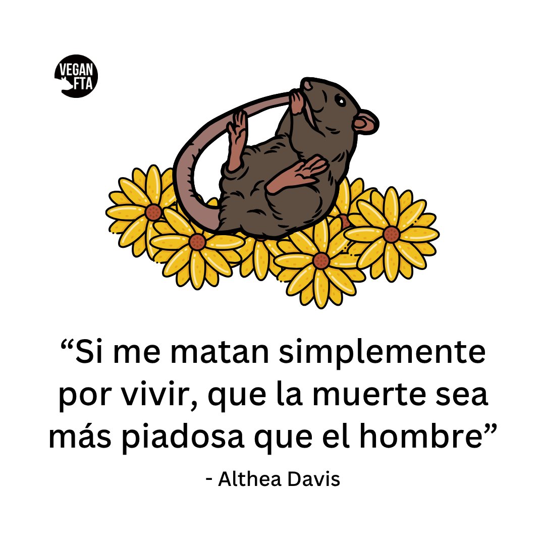 VeganFTAEspanol's tweet photo. https://t.co/QlhGKVXpKl