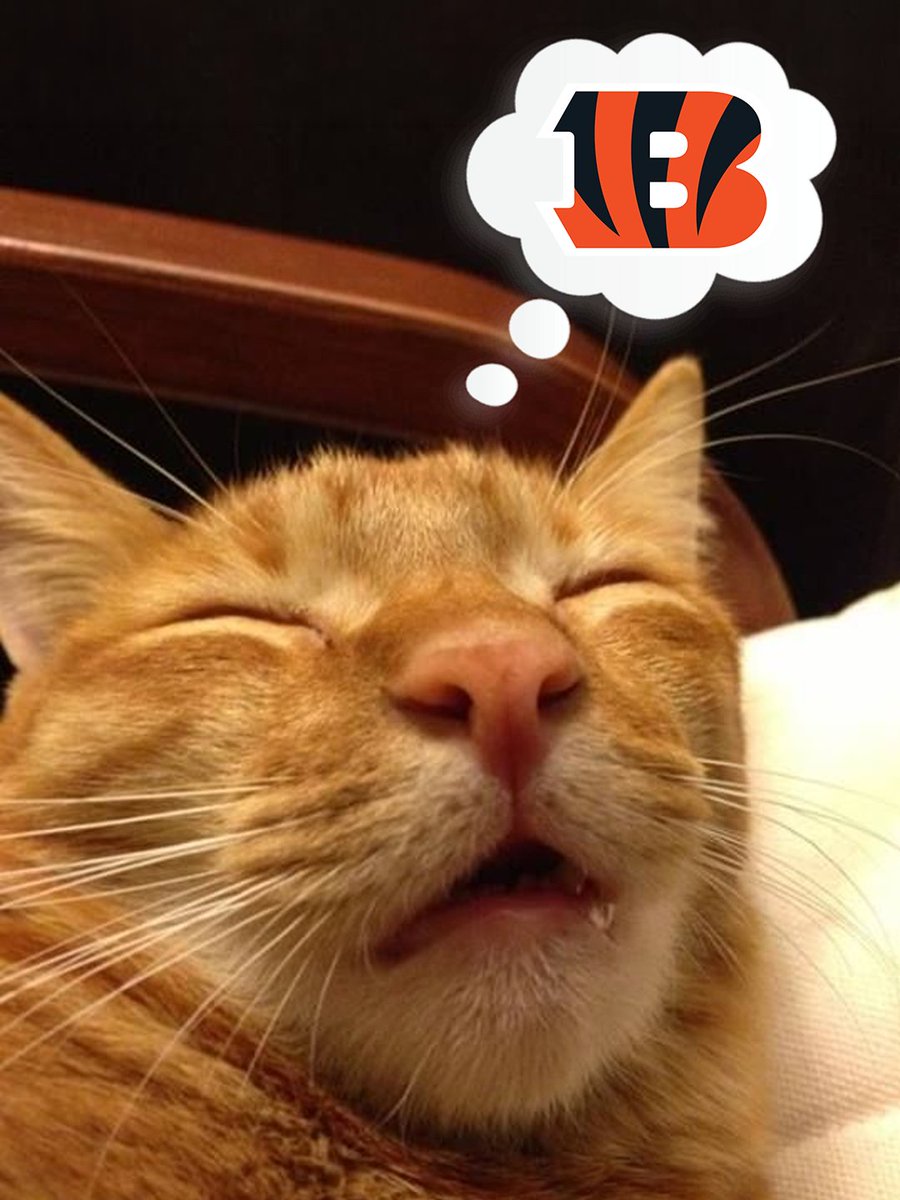 Bengals's tweet photo. Sweet dreams, Who Dey Nation. https://t.co/5a6NKnF3iB