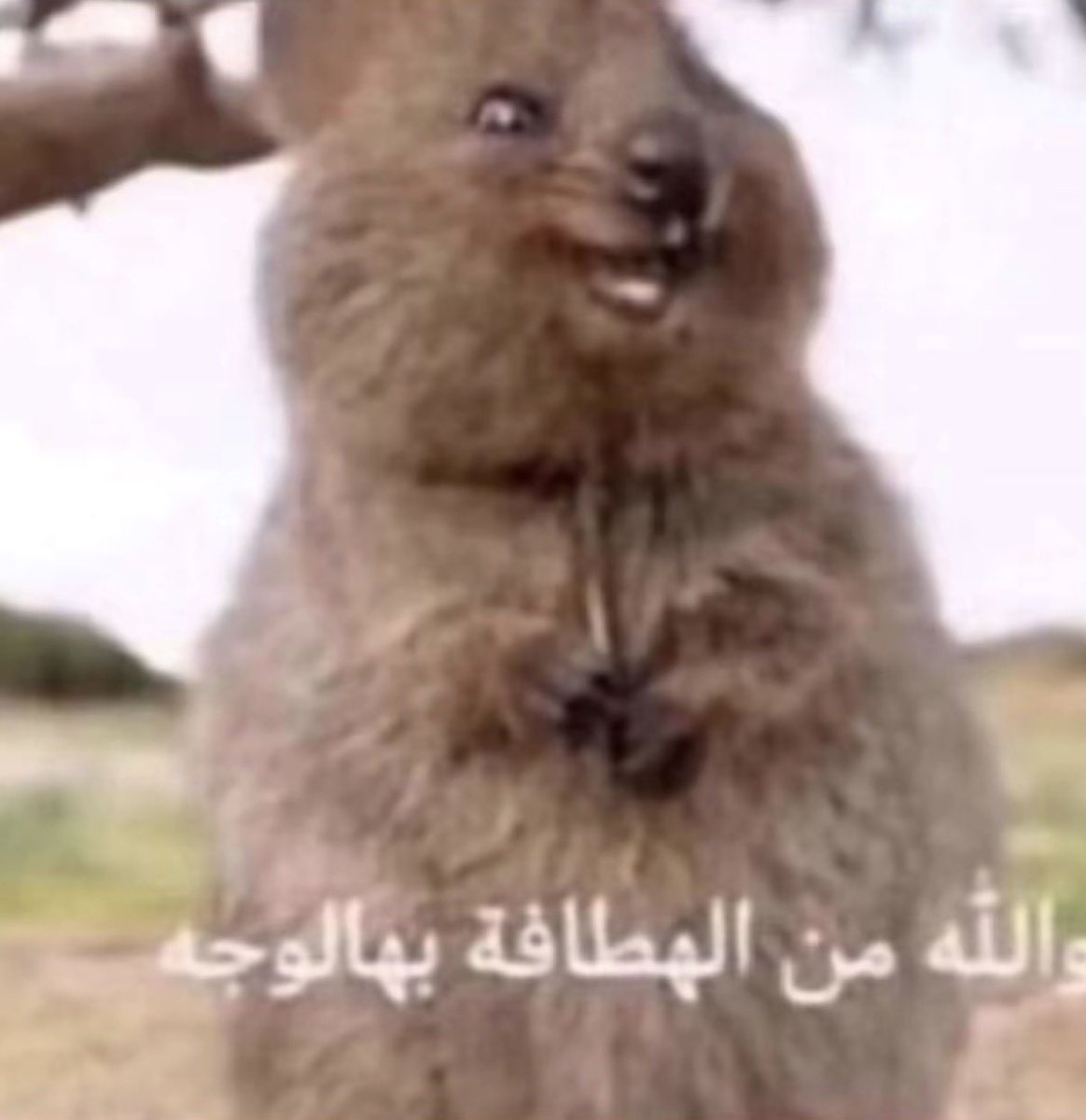 tii9_l's tweet photo. قلبي وهو يشتاق لأي شي اسمه ذكرى ما يهم أيًا كانت https://t.co/fH0t6oFtPw