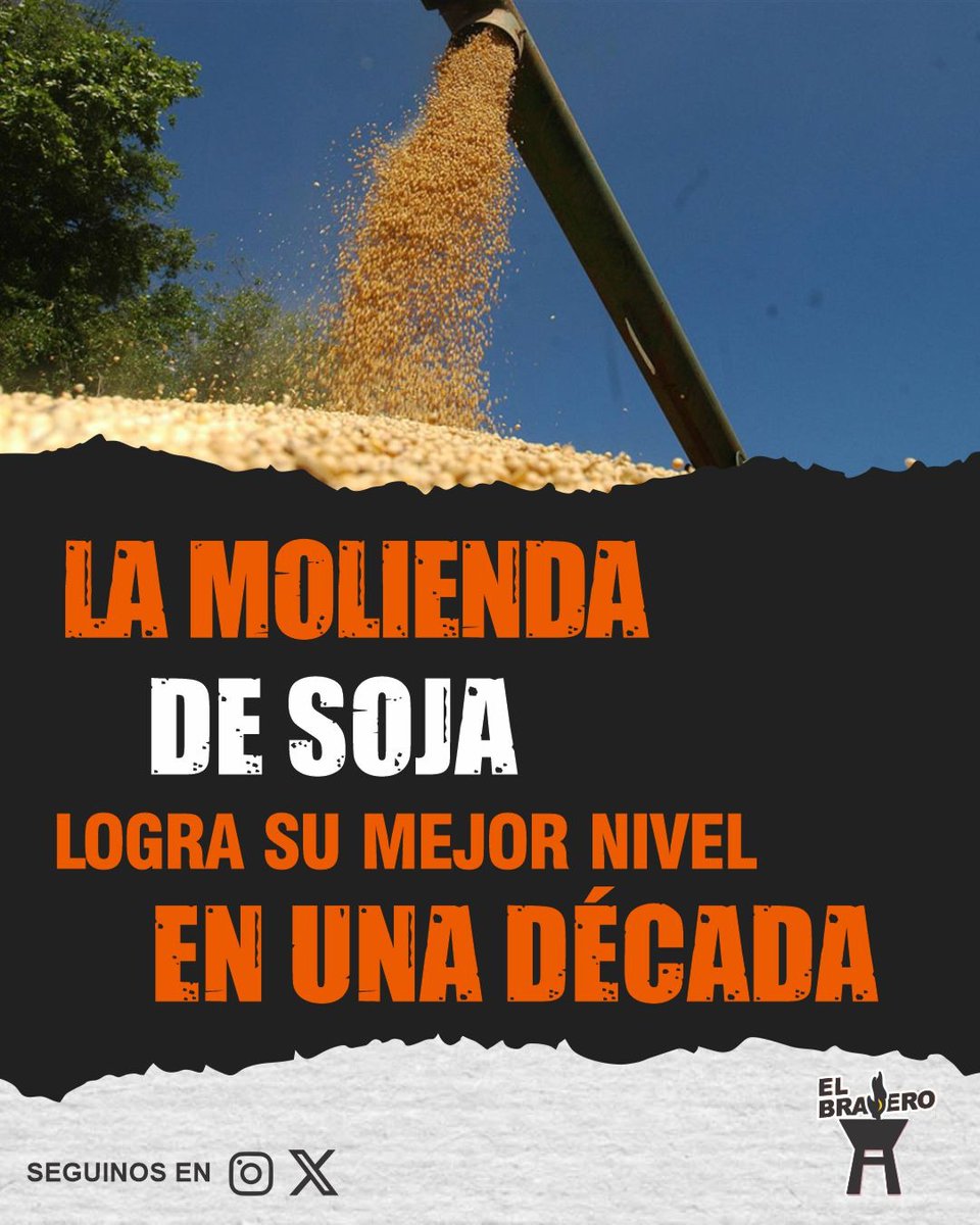 BraseroPy's tweet photo. Procesamiento de soja crece 12,3% https://t.co/8WTXj50PbP