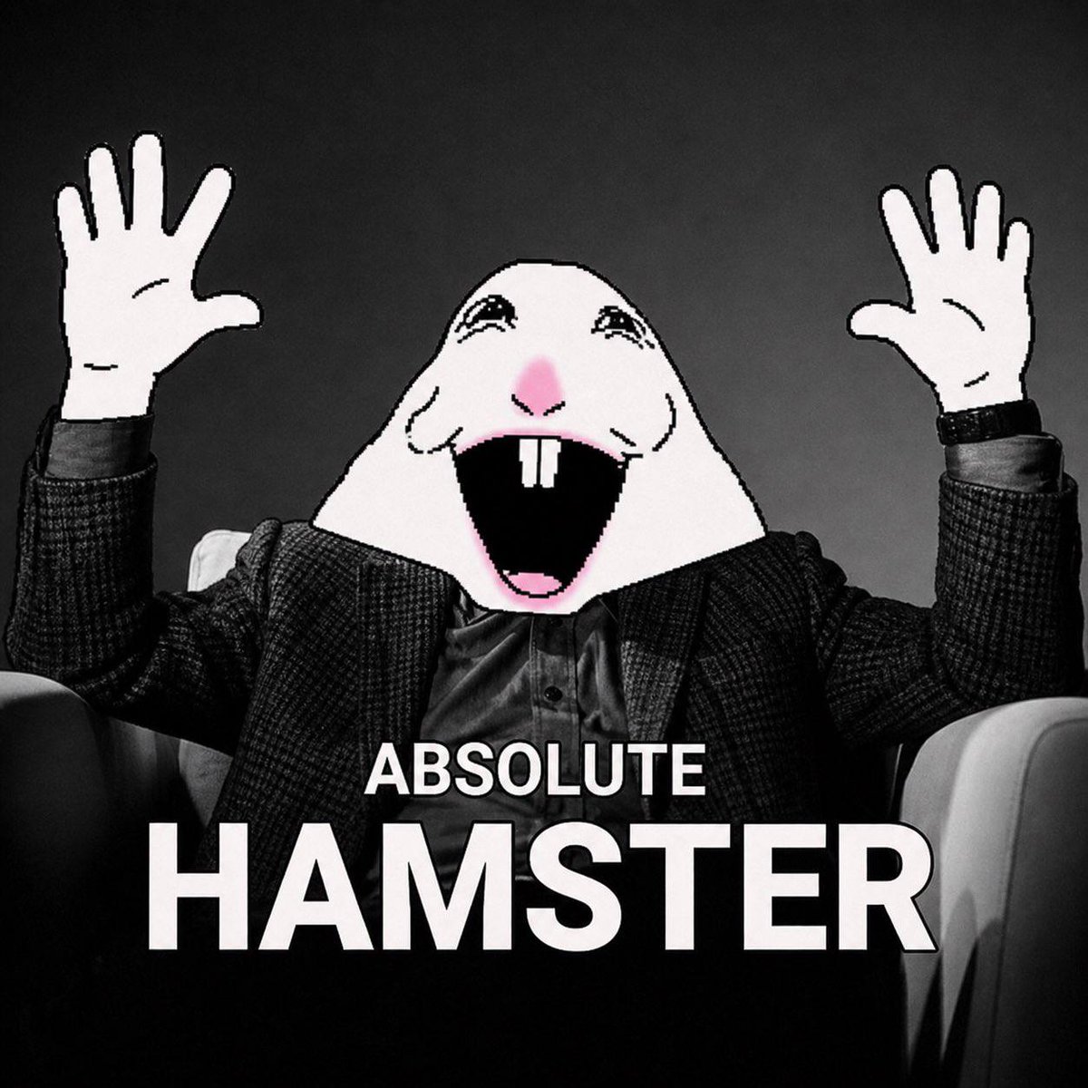 Hamsterhooked's tweet photo. Cinema! https://t.co/ru4JYohUqr