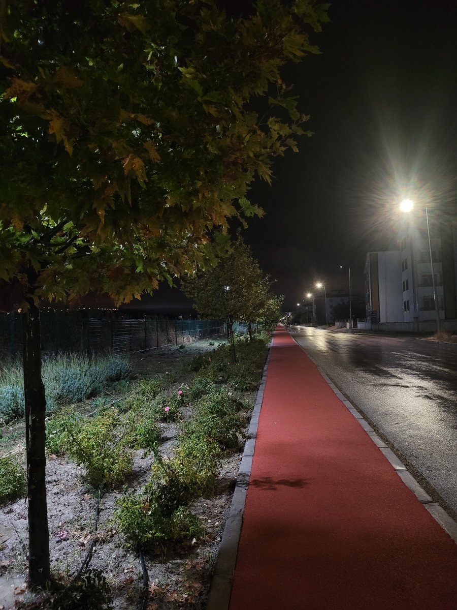 alynayss's tweet photo. Yağmur sonrası yapılan yürüyüş https://t.co/a3JeiHfkfH