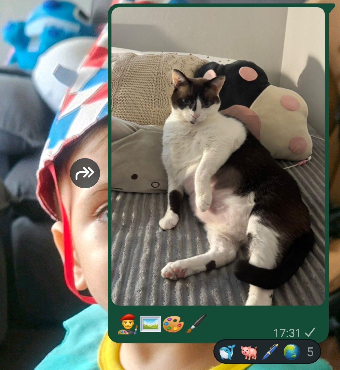 Malucifer_sanx's tweet photo. PQ O MEU GATO É BALEIA E O OUTRO É UMA DIVA? https://t.co/6lsTL2sZvC