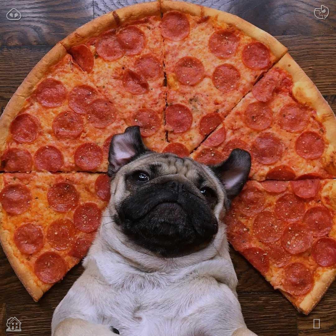 tskcuit tweet picture