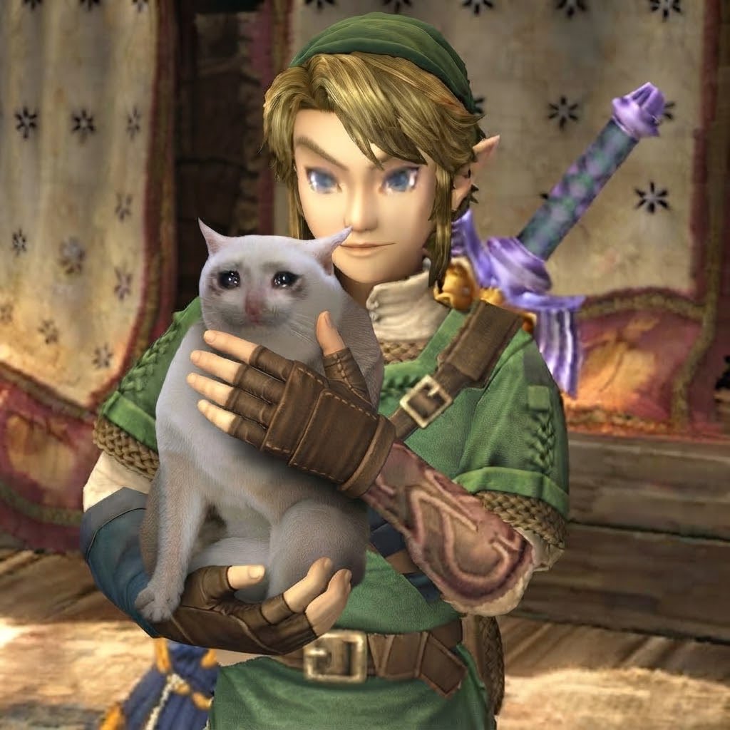 _hoodLink_'s tweet photo. Found him somewhere in Hyrule https://t.co/XRPFRgkZaR