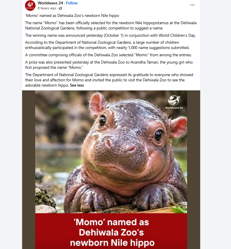 PetaISol's tweet photo. This runs millions???

Dehiwala Zoo just got a newbron Pygmy Hippo and they named it "Momo" 

I thought it was larp but its getting posted by massive news accounts and reported on everywhere

CAPTION IS - "Move over, Moo Deng" 

LITERALLLY JUST HAPPENED THIS MORNING - https://t.co/0gGBdSEgiP

Articles - https://t.co/Pf06TUS77G
https://t.co/hV58HZtoR0

IG Post - https://t.co/3YXJKgYZxA

Facebook 1 - https://t.co/0gGBdSEgiP

Facebook 2 - https://t.co/9cloCPmrJY