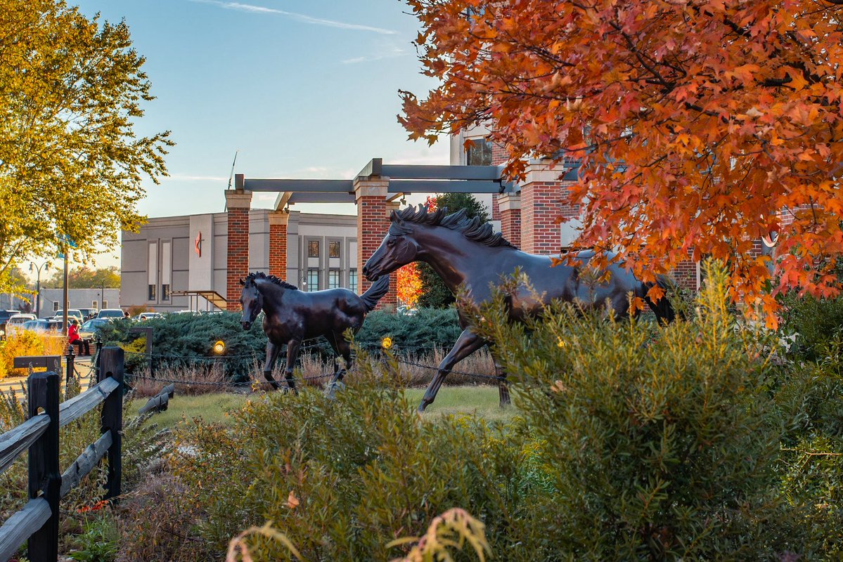 okstate's tweet photo. What’s your favorite season on campus, #CowboyFamily? https://t.co/G6RPYOuAiJ