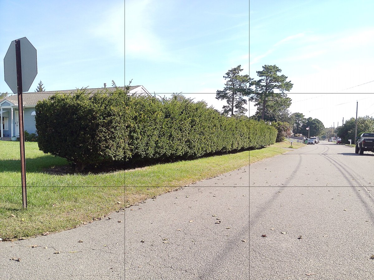 VSMSanR12's tweet photo. As I was walking I found places that used rule of thirds. The images Diagonal lines add dynamic movement to static scenes. Straight or curved lines feel calm. Each image create it's own energy. I feel that they instantly pull into the picture.
#su2412 #RuleOfThirds #LeadingLines https://t.co/o2moWulfZm