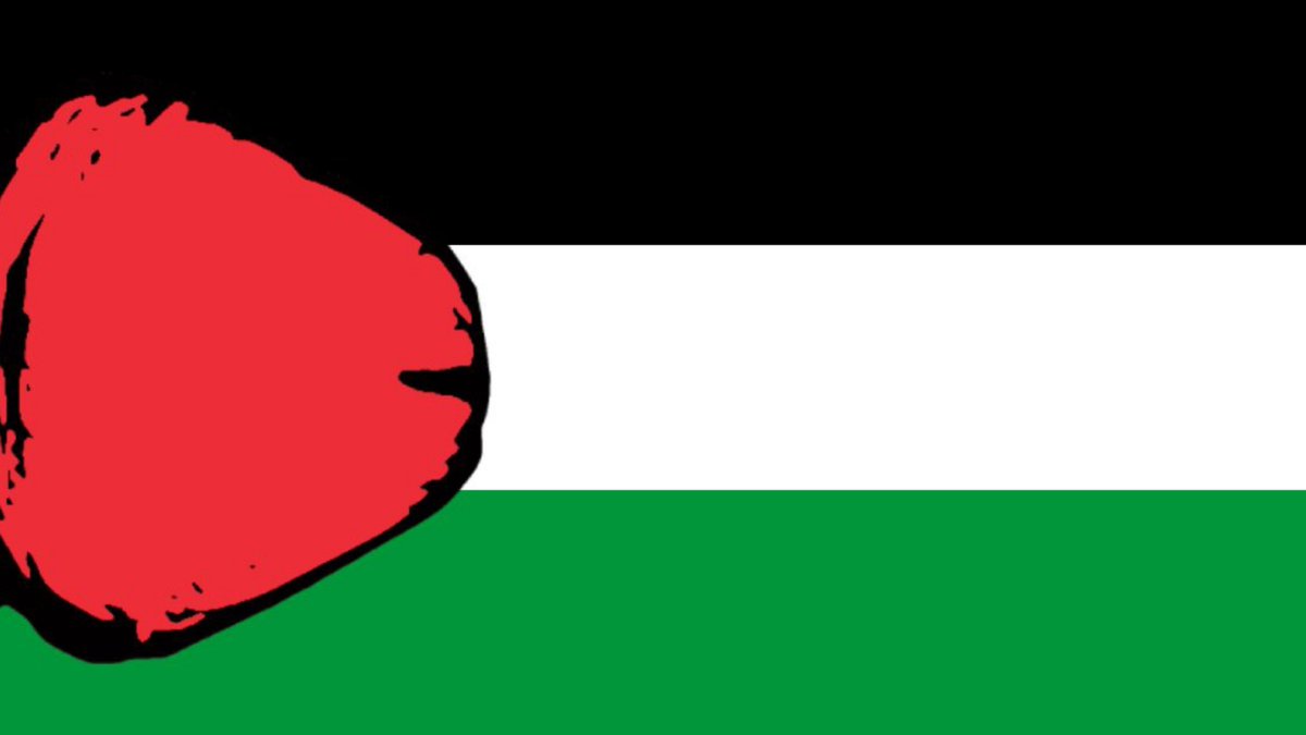 Iran1Asl's tweet photo. پرچم جدید فلسطین. https://t.co/56iyo5DNo3