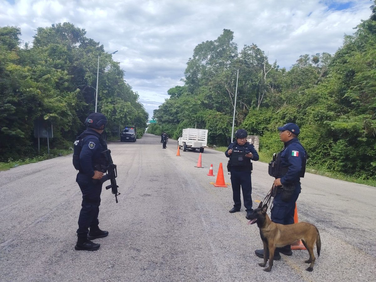 SSC_QROO's tweet photo. 🐾 La Unidad Canina K9 fortaleció las acciones de prevención y vigilancia en Quintana Roo.

Durante la semana realizó inspecciones a 19,496 personas y 7,894 vehículos, además de 14 marcajes caninos y participación en 8 operativos coordinados.

#ServirYProteger https://t.co/emzEt293JC
