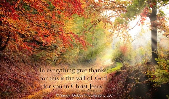 peggysueb64's tweet photo. Good afternoon! Time to unplug for the weekend. 🔌❌ See you all back here on Monday. Stay safe and God bless you all! 🙏🇺🇸 https://t.co/9CXwNJ97TQ