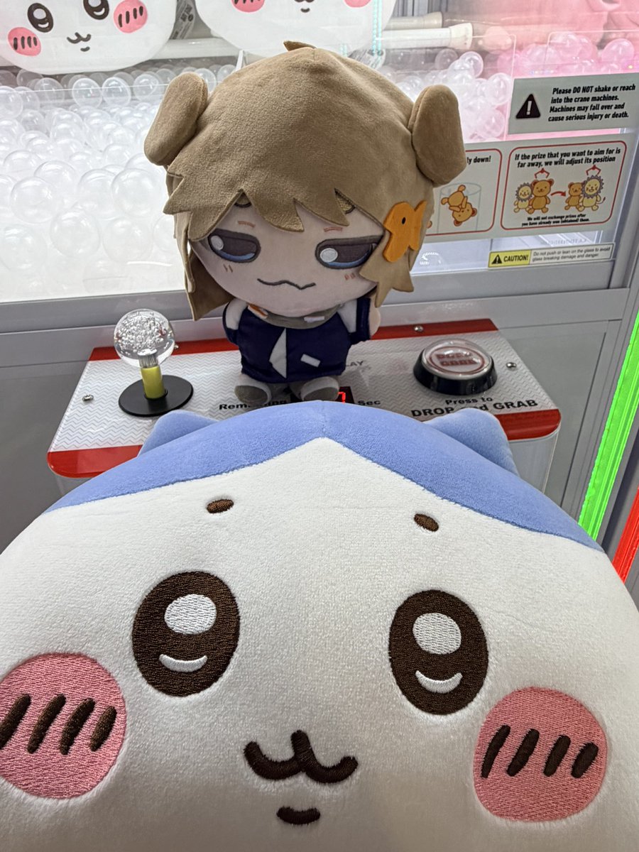 zaijin's tweet photo. oh the adventures we’ll go on. 🐟 ✨ #misoplush https://t.co/j5Dm0jqxew