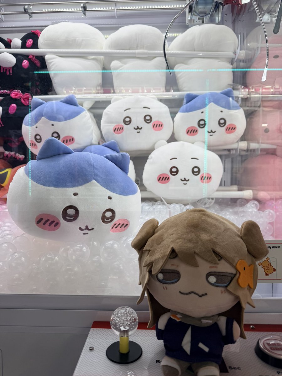 zaijin's tweet photo. oh the adventures we’ll go on. 🐟 ✨ #misoplush https://t.co/j5Dm0jqxew