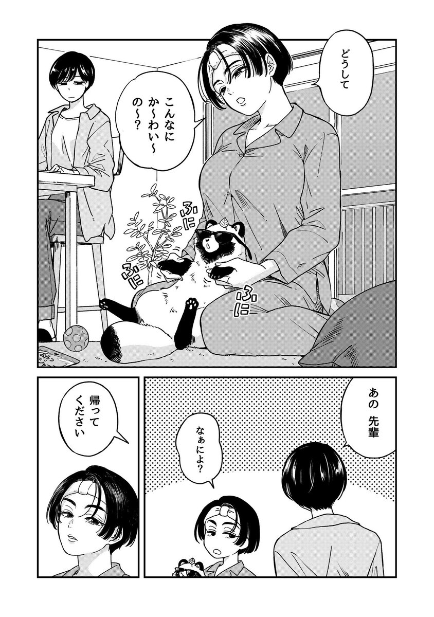 nikaidooooooooo's tweet photo. お泊まりの夜？ https://t.co/gHlSpiRxmk