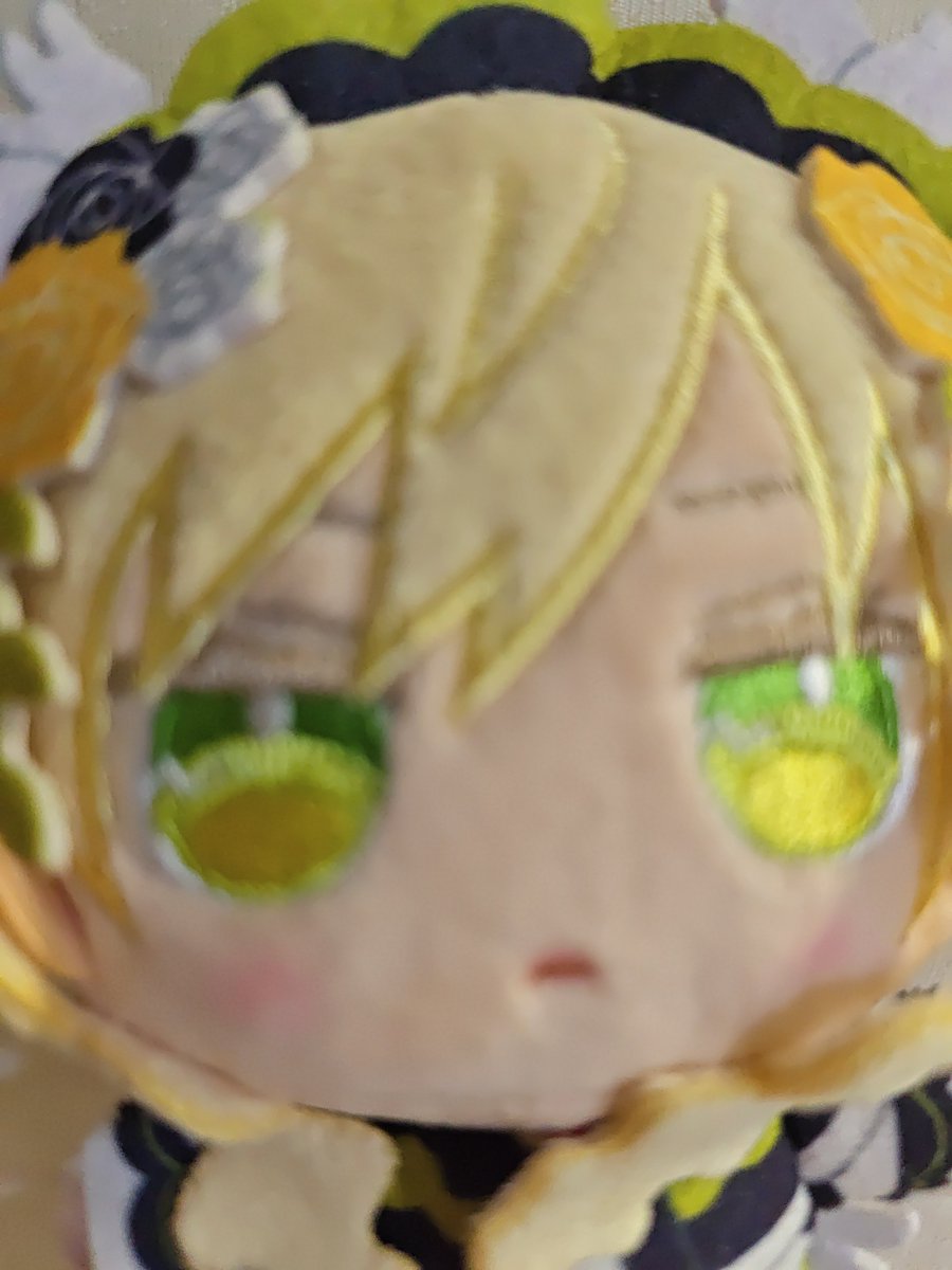 hideri7891's tweet photo. 皆さんおはよう!ヾ(^▽^*)))
故郷に帰って休暇を過ごしているので、雨から一時おさらばだよ!ヾ(✿ﾟ▽ﾟ)ノ
それでは今日もよろしくね!(=^▽^=) https://t.co/qq9sfLyN6V