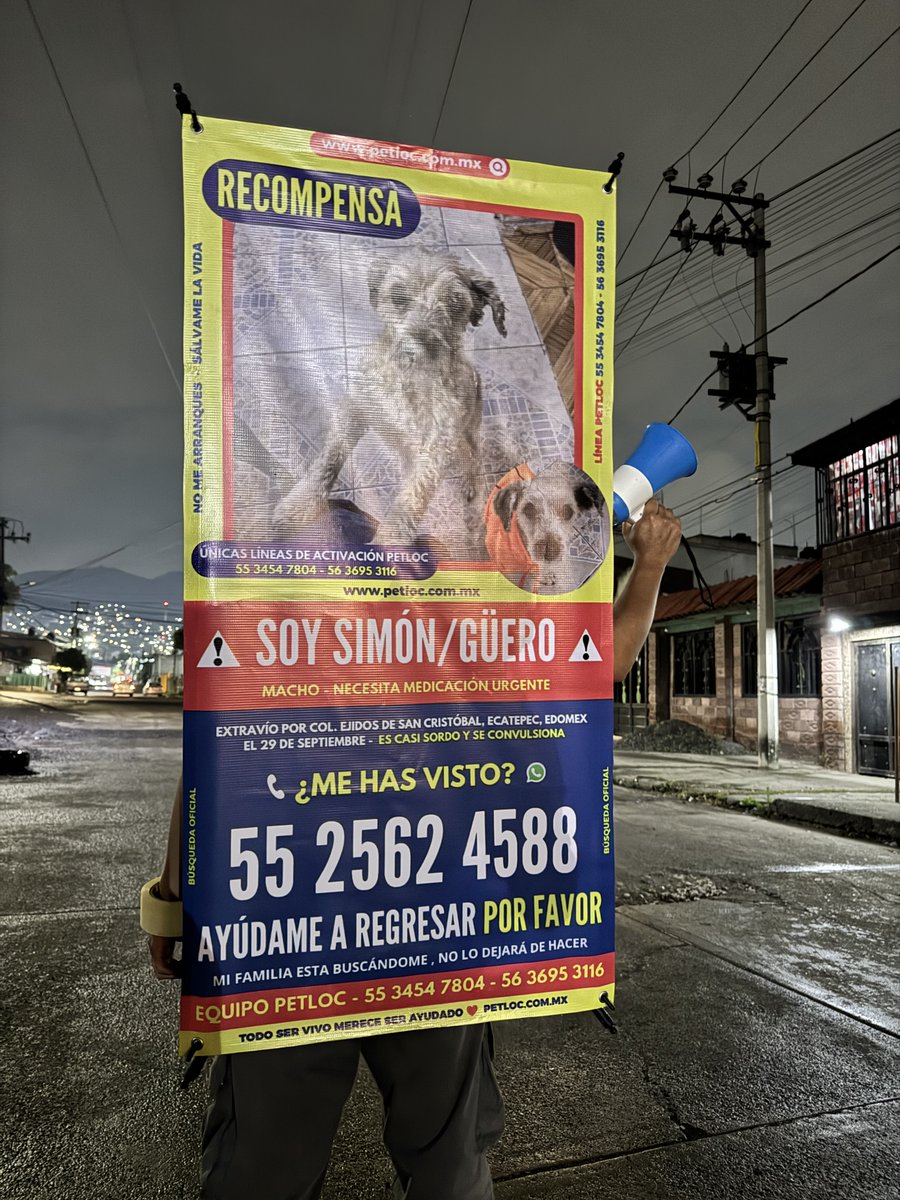PetlocMX's tweet photo. 🐶Preciado SIMÓN se extravió en: Col. Ejidos de San Cristóbal, Ecatepec, EDOMEX🐾🔍 La esperanza sigue intacta.
•
Cada recorrido, cada búsqueda y cada publicación tienen un mismo propósito: lograr el reencuentro con su familia. ❤️‍🩹 https://t.co/8oZopmfPLd