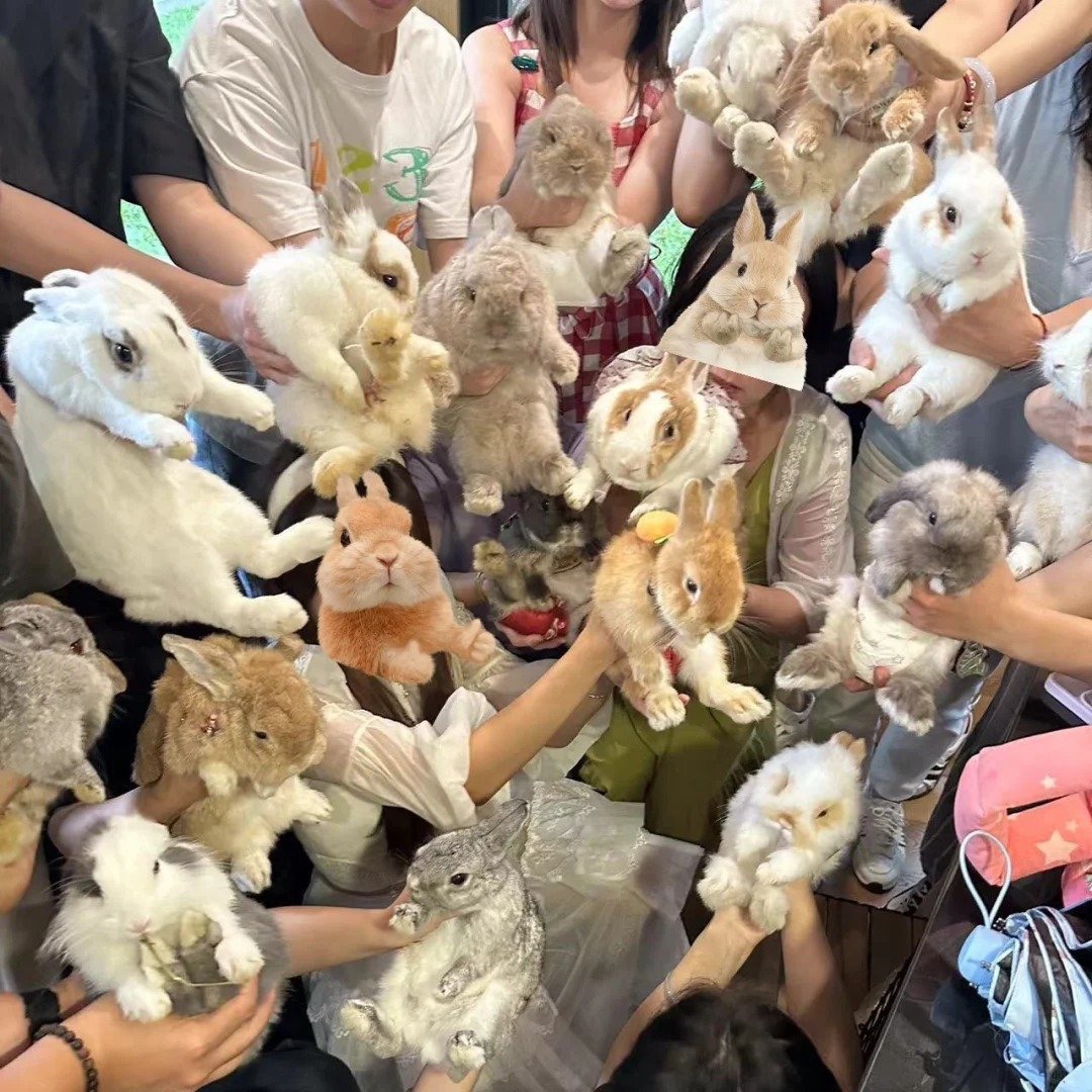 ShouldHaveRabit's tweet photo. Bunny convention. https://t.co/5yvPKV8zR2
