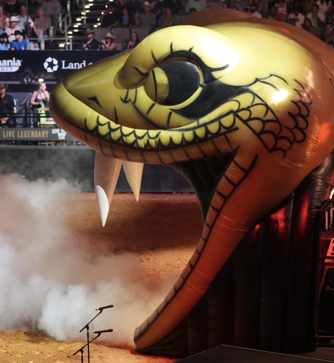 PBRbunkhouse's tweet photo. The @TexasRattlers_ have one of the coolest, if not, the coolest entrance in PBR Teams. https://t.co/6qCyfHCZeS