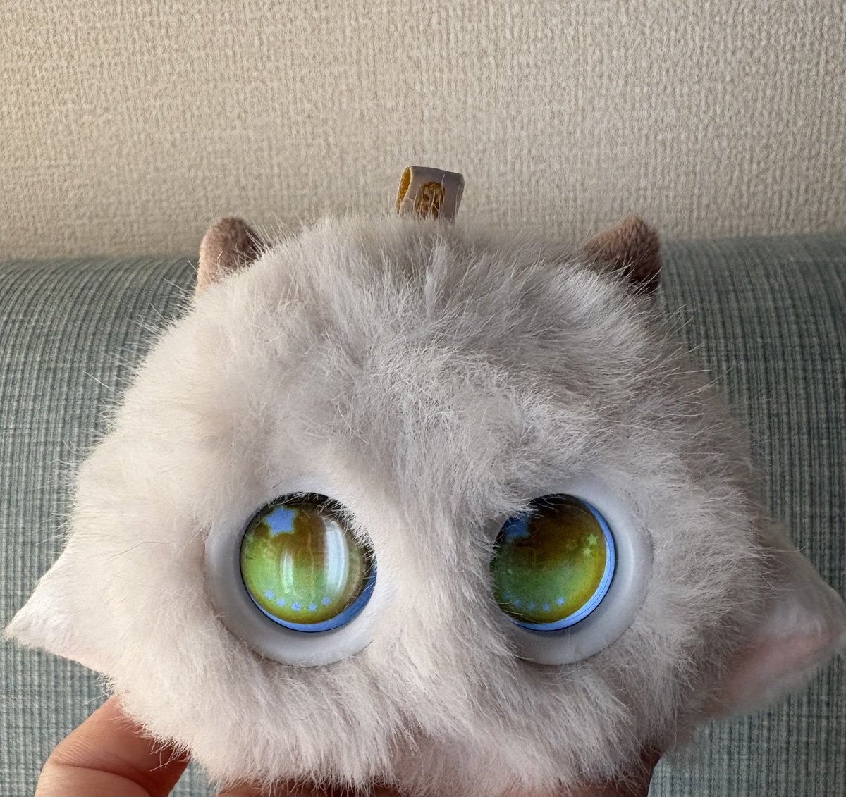 pomichi_f's tweet photo. @0824saku2 1枚目のꪔ̤̱耳はフゾゾ公式のもので、
2、3枚目のヤギ🐐耳とねこ🐱耳は、アリエクで買いましたよ〜◎
アリエクもし使ったことが無かったら、一つ注意点があって、信用性は低いので、クレカ登録はあぶないです⚠️💦
paypay購入おすすめです♡ https://t.co/rZcLKTuzc6