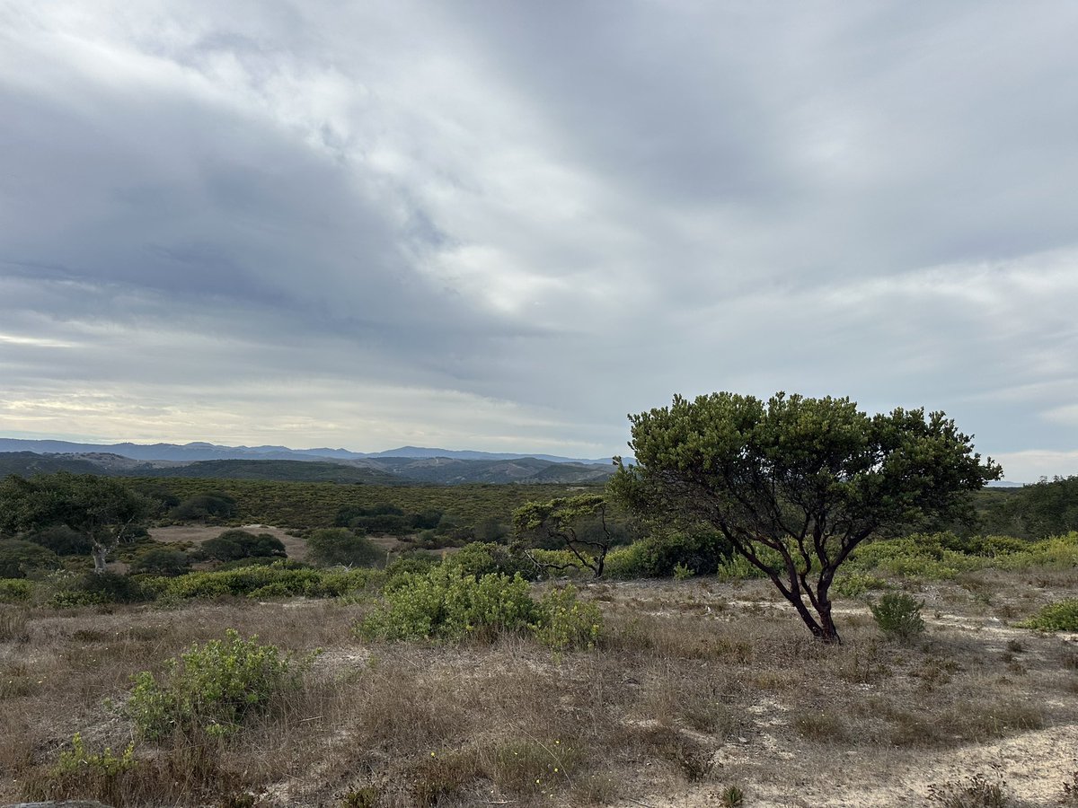 Cooper_Folf's tweet photo. Did a hike a Fort Ord today, I found a really old 1942 30-06 casing from Denver by a bunker. Probably the oldest casing I’ve found at Fort Ord. https://t.co/S6ngNww1we