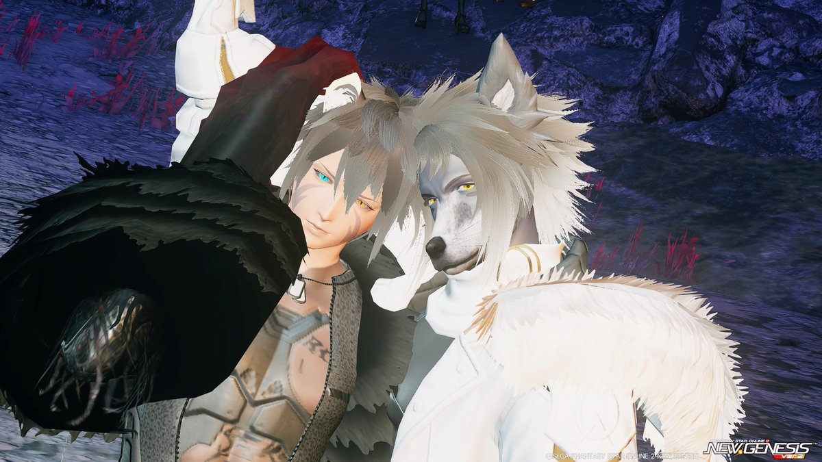 MISANOMAinNGS's tweet photo. 昨日おはSSを撮って帰ってきたらケモ利虎さんが居たのでいろんな話をしながら獣あわせして貰ったよ！短時間だったけど楽しかった😆✨ありがとうございました🙇 https://t.co/y2IUJAfuiK