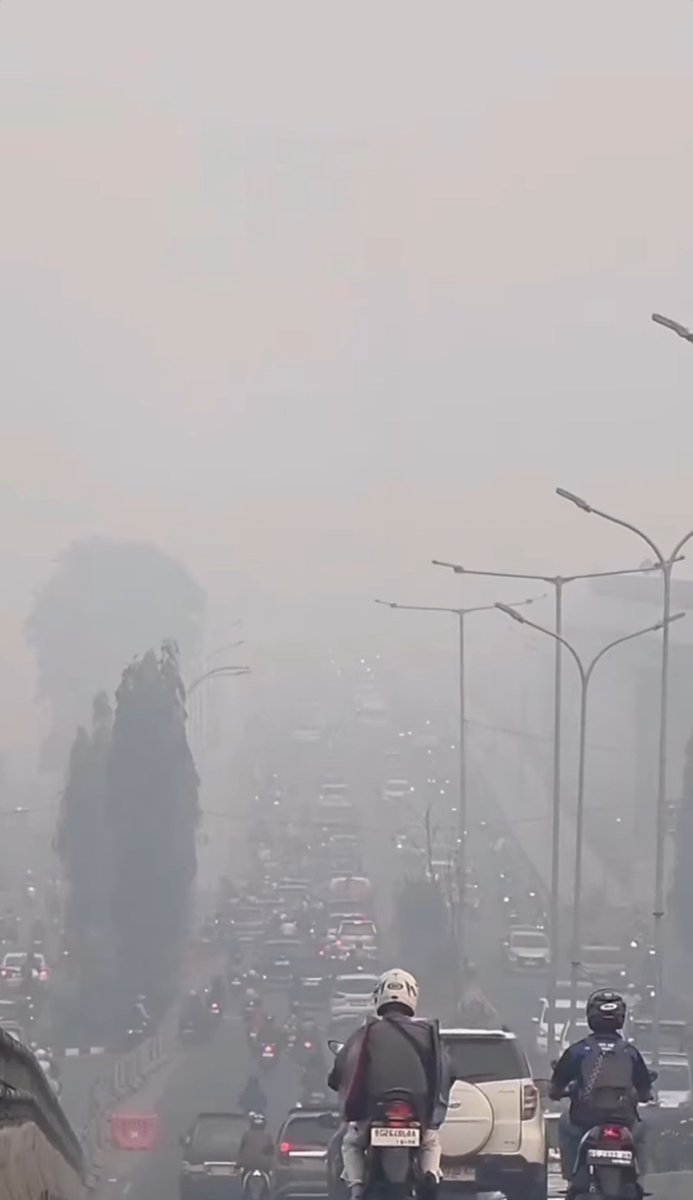 pyongariy's tweet photo. Belah ni dada isi nya asap semua

Fyi gubernur sumsel di kondisi lagi kayak ini, belio asik makan sambal seruit di lampung 😊 https://t.co/pFMLMCltBX