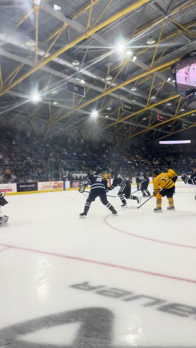 A hockey game is underway in an indoor arena, with players in black and yellow jerseys competing on the ice before a crowd of spectators.