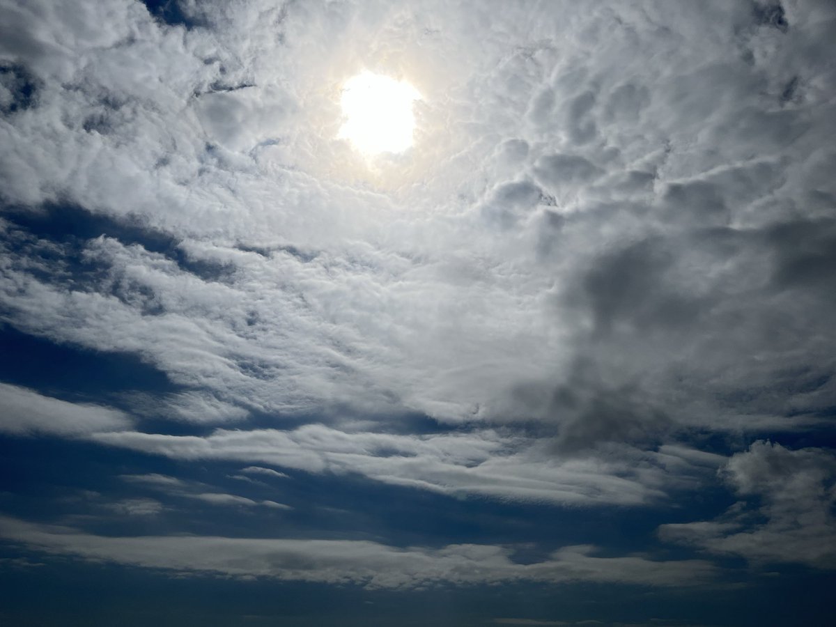 coindensetu's tweet photo. #名古屋
#空 https://t.co/Qr2Zhaxnjl