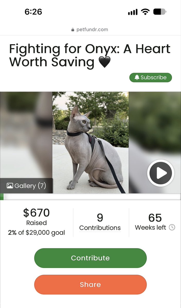 newphase2021's tweet photo. I’m a cat lover. I have three. But what do you think of crowdfunding $29,000 for a cat? 🤔 https://t.co/RZa5CqEjFU