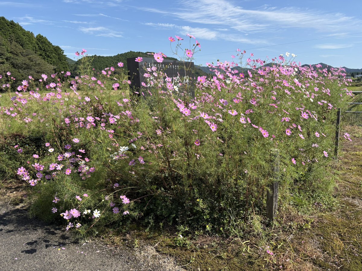 kai_yuzuki's tweet photo. 再び自転車借りて散策中🚲
朝パン食べて出たけどお腹空いたから、モーニング兼昼食🥪 https://t.co/HsFruuvg0N