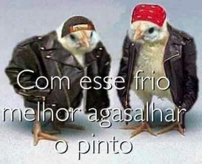 pedroppkrlh's tweet photo. https://t.co/zvNMFpe4Ov