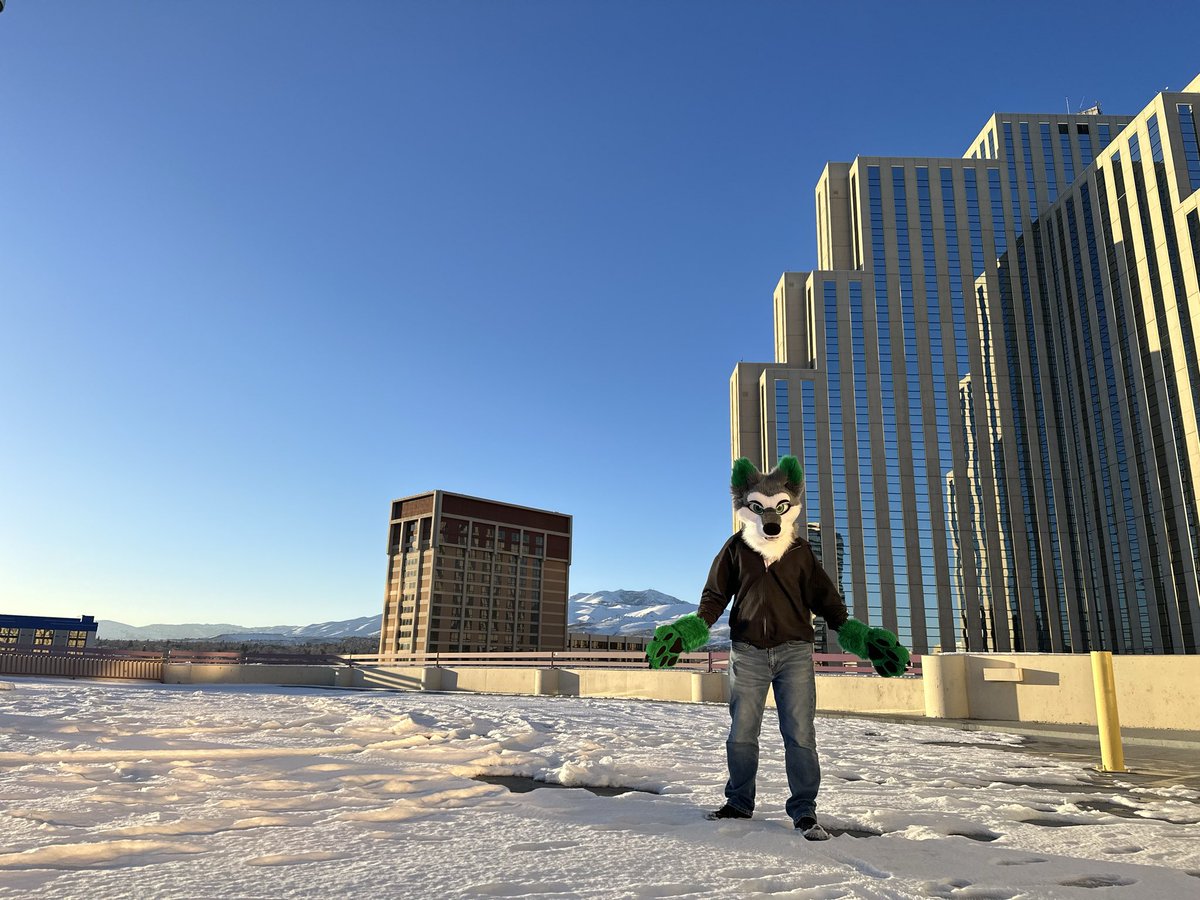 Cooper_Folf's tweet photo. Hope to see some of you all at BLFC soon! #Fursuitfriday https://t.co/xUP60v9gXz
