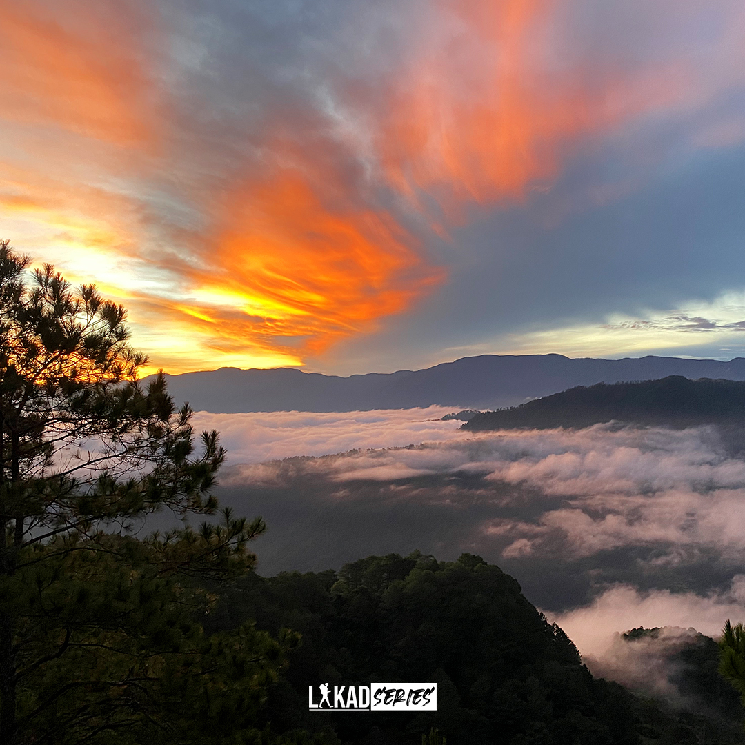MelanyGrinstead's tweet photo. Photo by Glen Benitez on January 09, 2026. https://t.co/lvq3i7u3oh