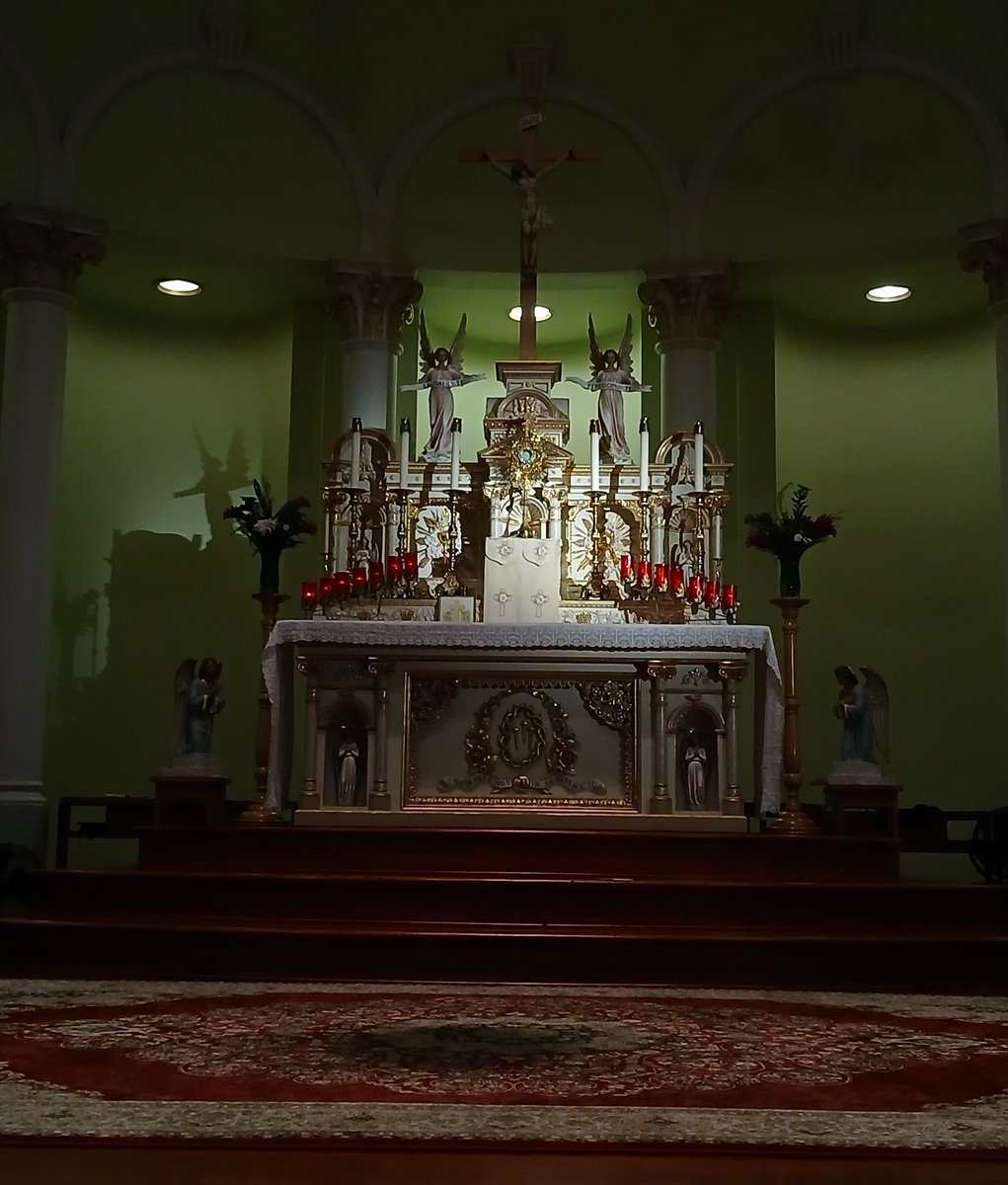JohnZwicker1's tweet photo. Our Guardian Angels would be so pleased. Mass of the #SacredHeartOfJesus on this #FirstFriday, followed by Adoration
The thoughts of His Heart are to all generations: to deliver them from death and preserve them in spite of famine.
~ #Introit
A 🙏 4Uhere https://t.co/AP8vXzRE31