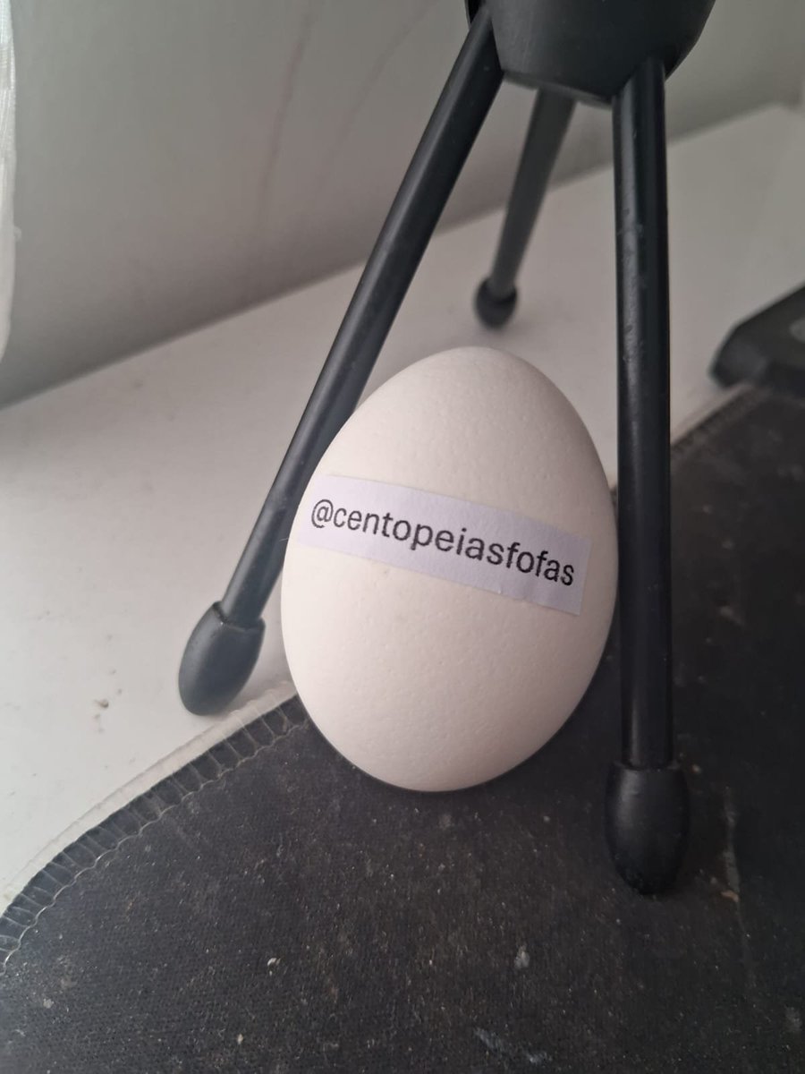Usuovo's tweet photo. @centopeiasfofas thanks for the follow! https://t.co/yXhKGZMN4q
