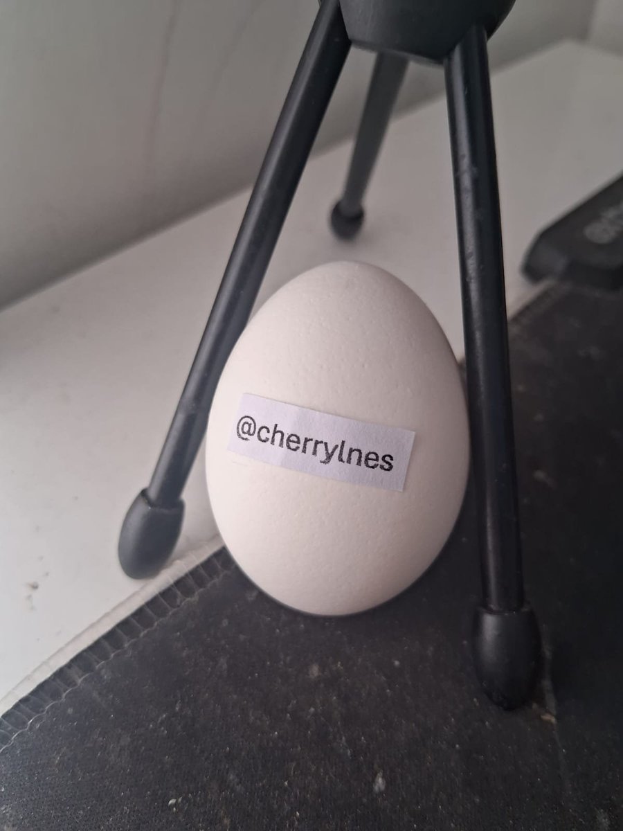 Usuovo's tweet photo. @cherrylnes thanks for the follow! https://t.co/dB85KNtrxO