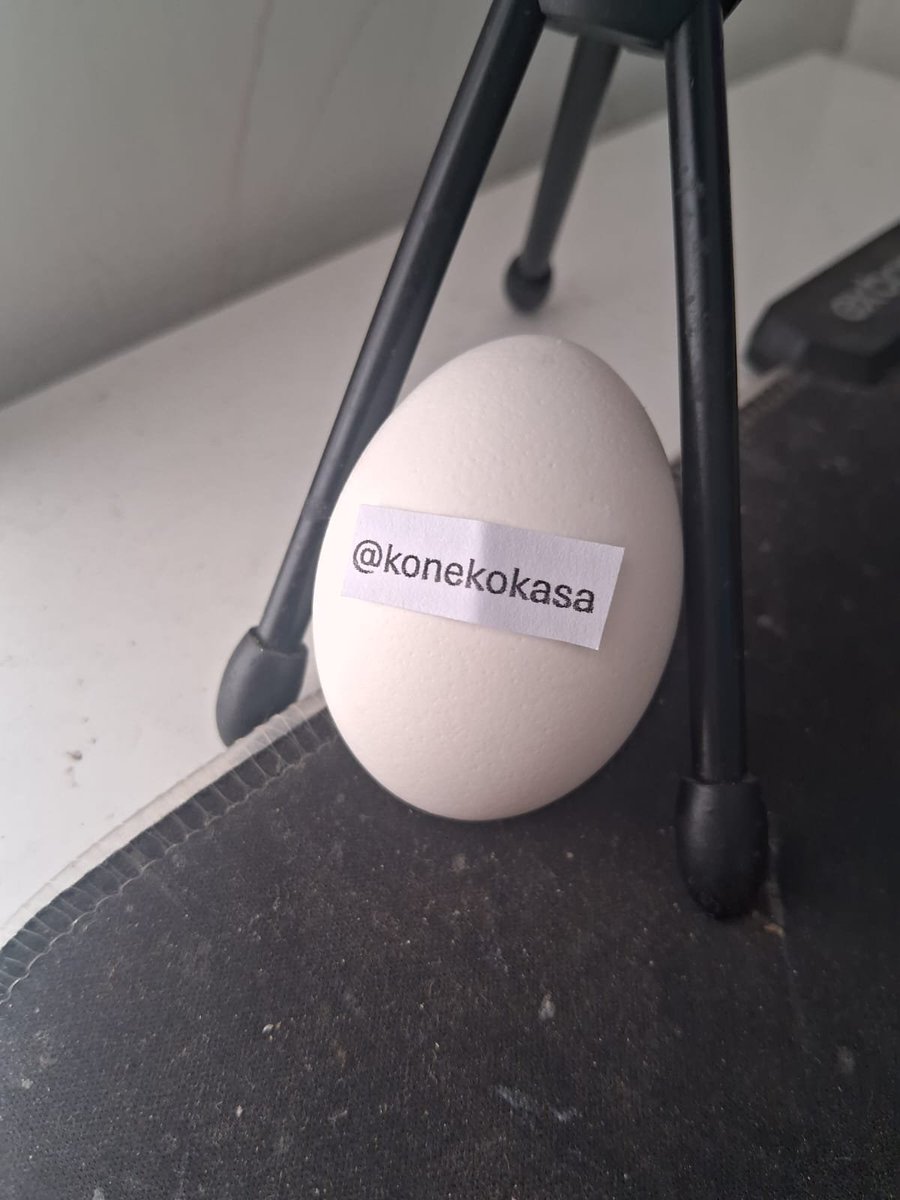 Usuovo's tweet photo. @konekokasa thanks for the follow! https://t.co/8iylgr7EVt