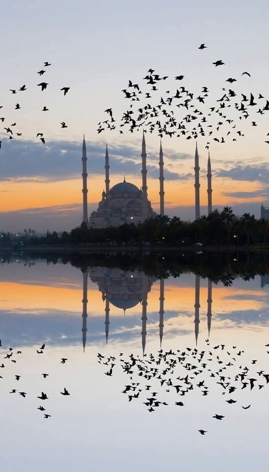 HseyinKaman's tweet photo. Yeni Güne #Bismillah
#Secdeler Sanadır #ÂLLÂH 'ım
Yakarışlar Sanadır
Dönüş Ancak Sanadır
Sabah Namazı İle Aydınlanan Evlere
#Selam #Olsun
#EsselatuHayrunMinenNevm
#SabahNamazı
#HayırlıSabahlar
#GazzeyiUnutmayın
#GazzedeSoykırımVar
#GazzeninSesiOlun
#BoykotaDevam
#FreePalestin https://t.co/bwNtzIM4B1
