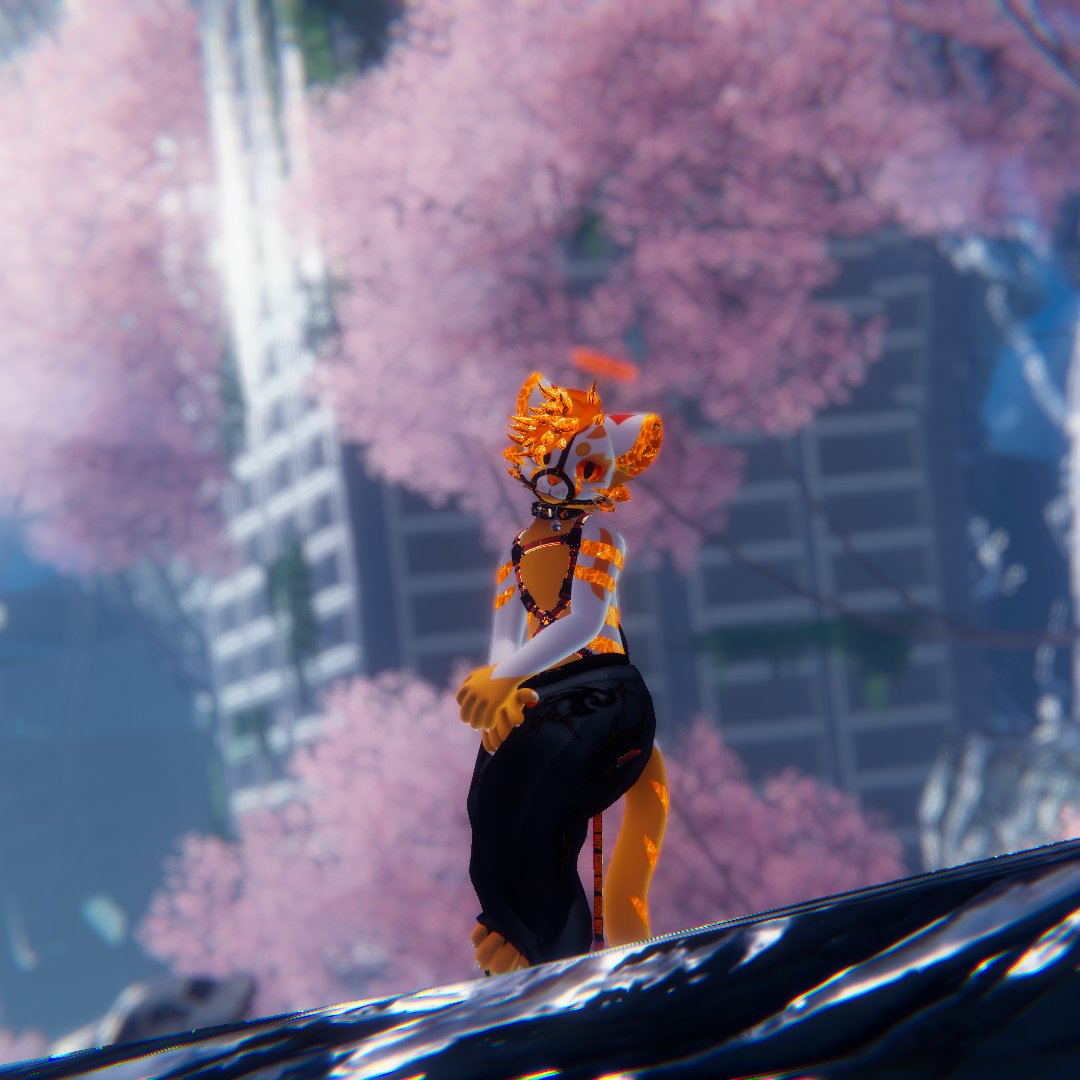 __Nyrex__'s tweet photo. looking out over everything
but really just waiting for someone to take over
would you?
#mayu #vrc #meow #goodboy #kitty #hypnosis #vrchat #drone #latex #latexfur #furry https://t.co/MG0Vmnpu5v