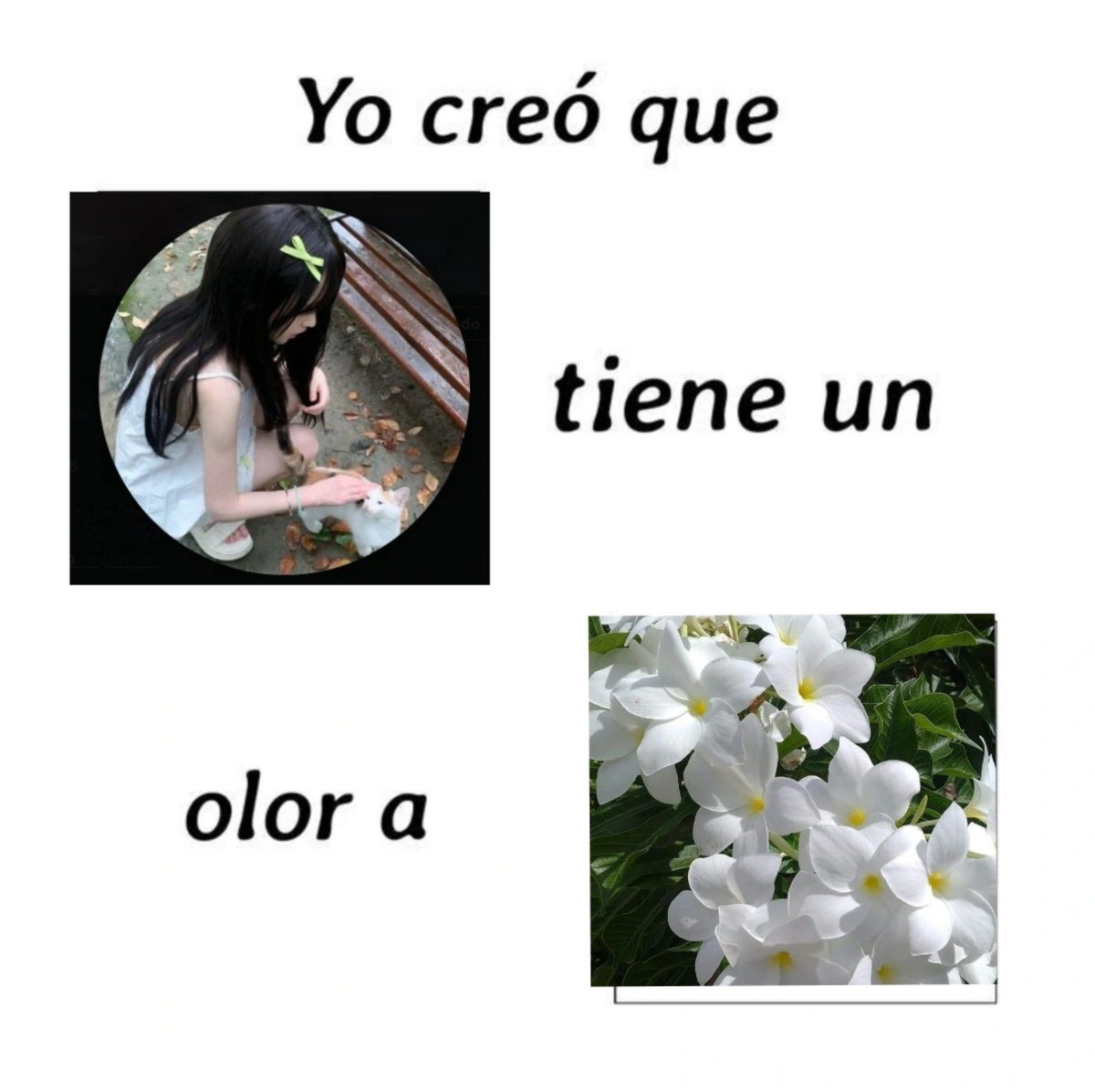 kaybl00d's tweet photo. @angelicwls No me deja hacer rt pq tenes candadito asi que te paso aca uwu
Literal sos mi flor favorita 💐 https://t.co/J5MeNl0DU5