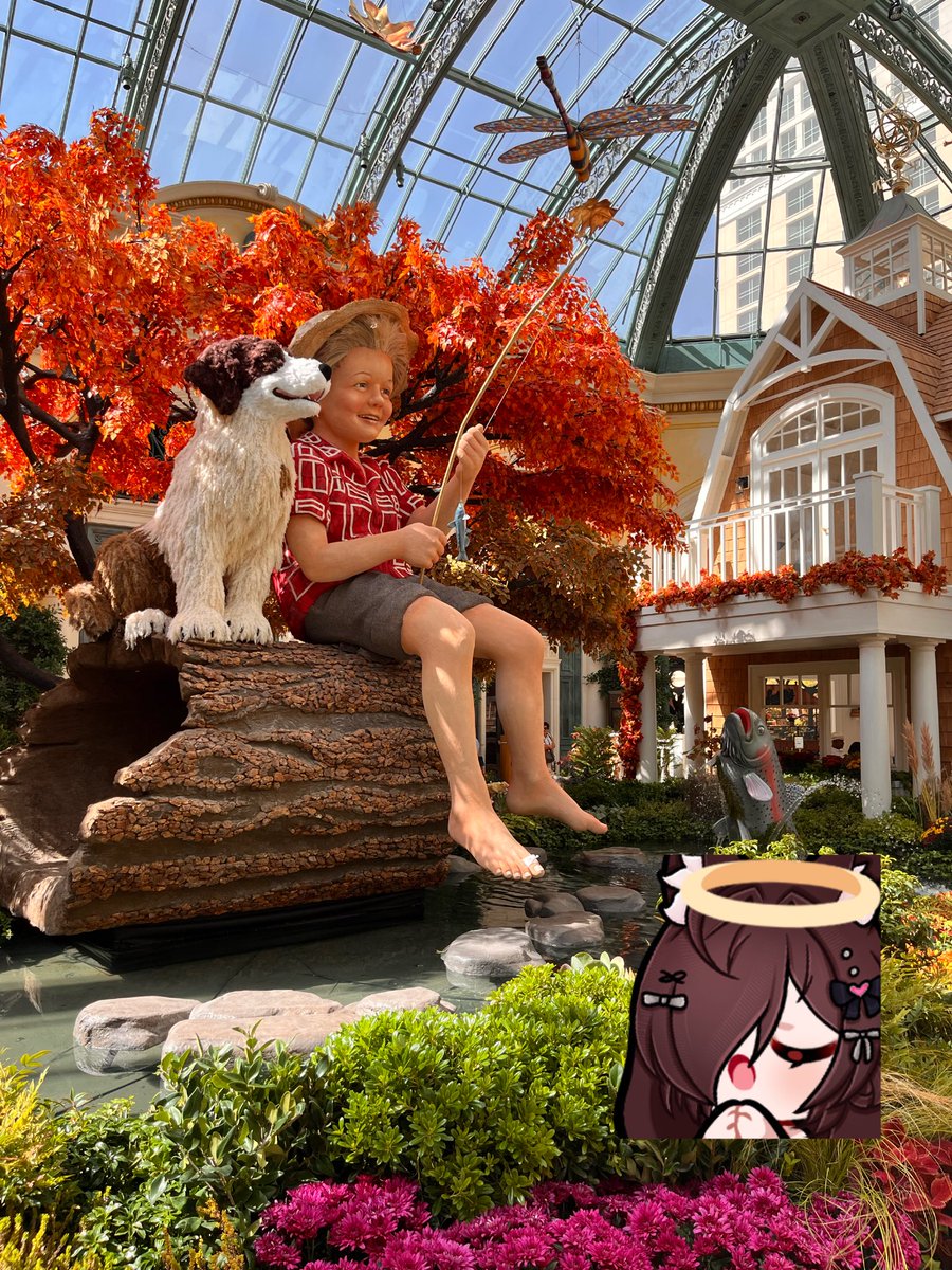 krazy1618's tweet photo. Went to the flower garden! Was so beautiful! 💐🩷 https://t.co/7iYyzVA4IA