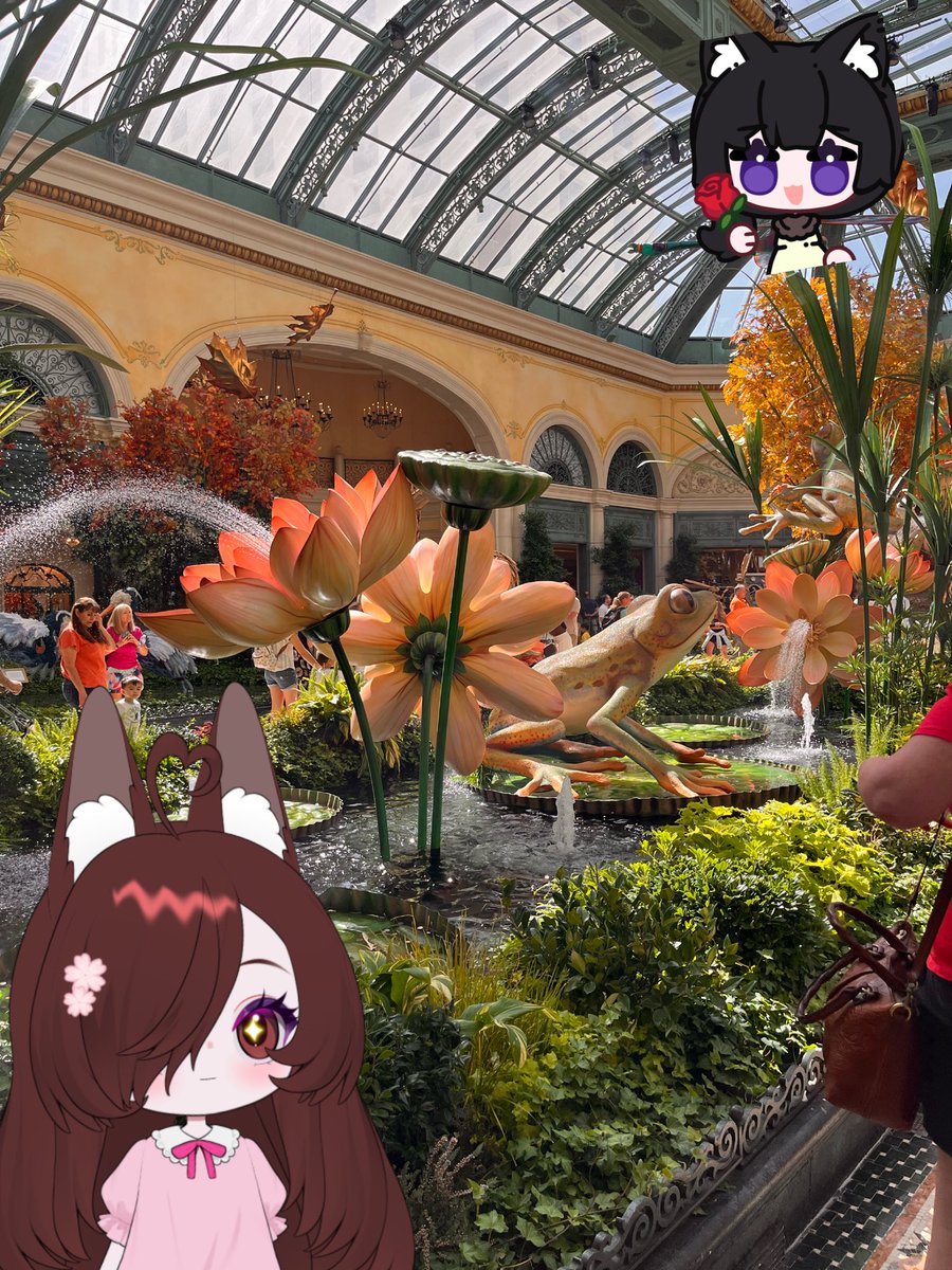 krazy1618's tweet photo. Went to the flower garden! Was so beautiful! 💐🩷 https://t.co/7iYyzVA4IA