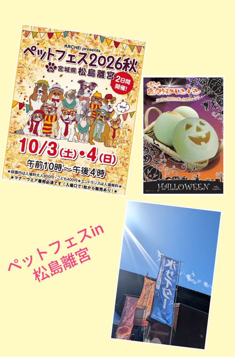 pabrata's tweet photo. ペットオーナー集まれ！

ペットフェスin松島離宮で開催中！
ペットグッツ、用品、グルメ、メロンパン？等など盛り沢山ですので
いらっしゃって下さいまし！ https://t.co/0amlCjtgKF
