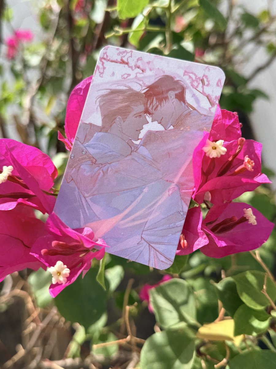 xuemaxwife's tweet photo. So beautiful🍎🫧🦋
#Perle #manhwabl https://t.co/rZq9lQd4Kw